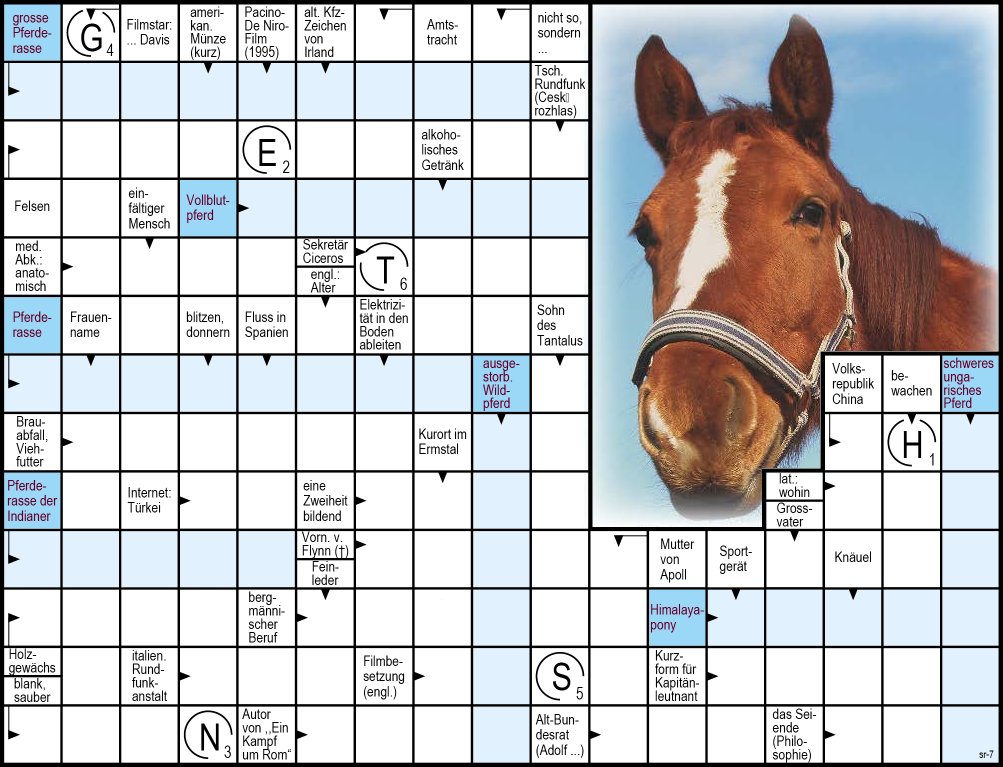 0_home [raetselmedia.ch]